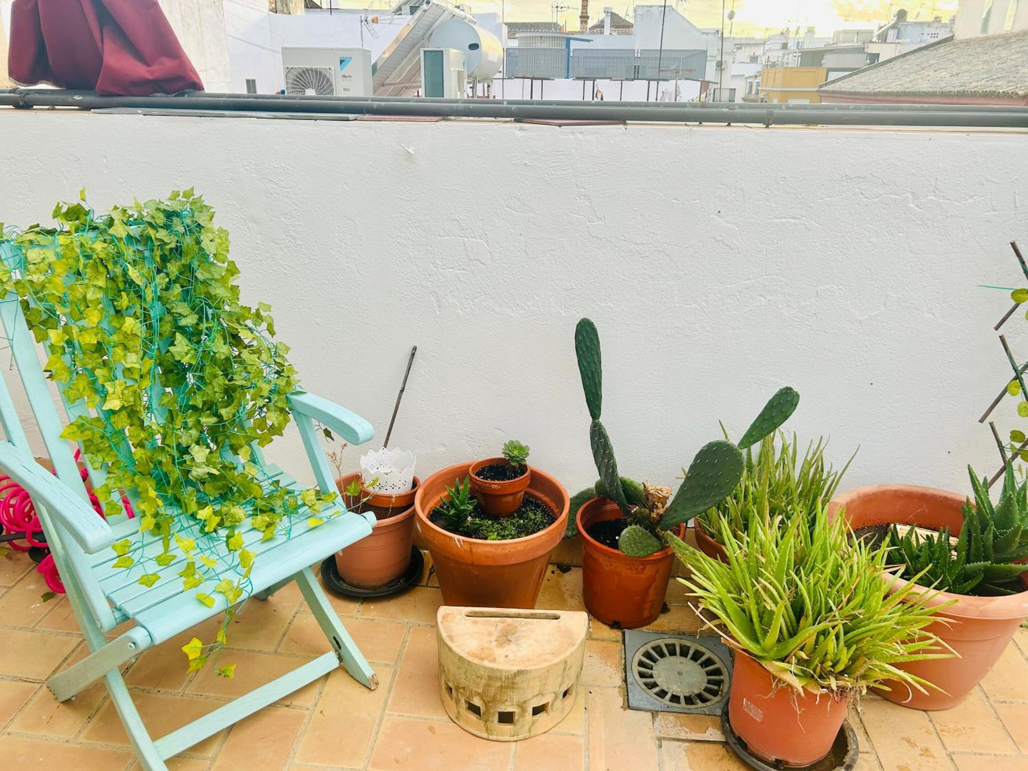 דירות סביליה La Azotea Del Sol מראה חיצוני תמונה